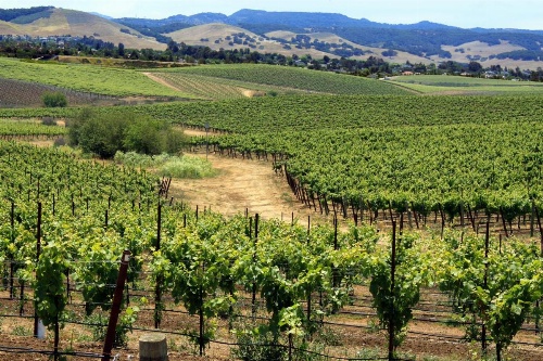 Inn at San Luis Obispo image 14