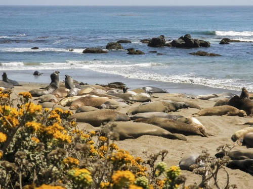 Inn at San Luis Obispo image 2